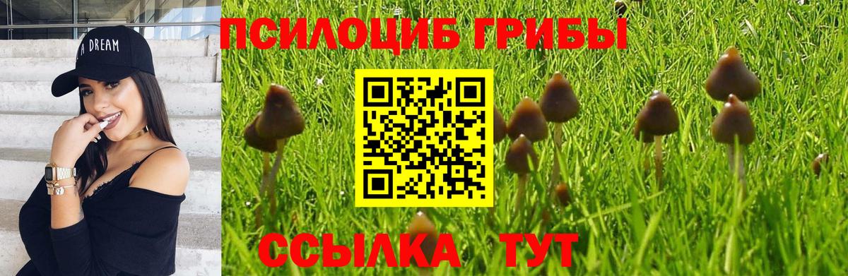Галлюциногенные грибы мицелий Улан-Удэ